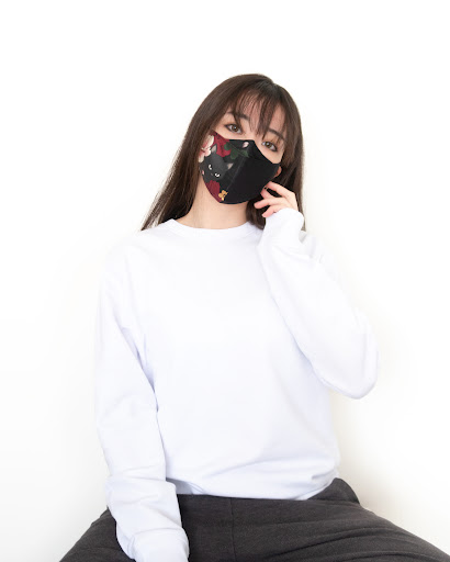 ohashii - Visual