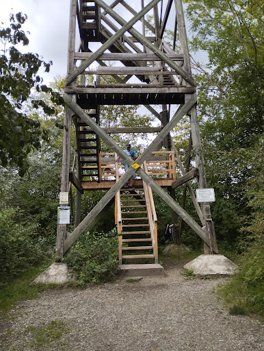 Mettnau-Turm - Thumbnail
