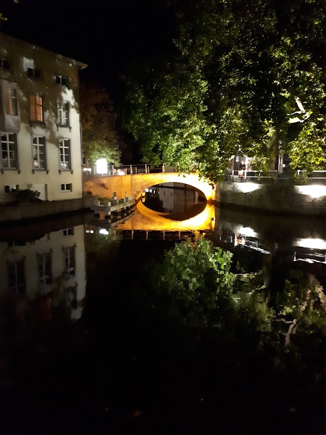 Groenerei