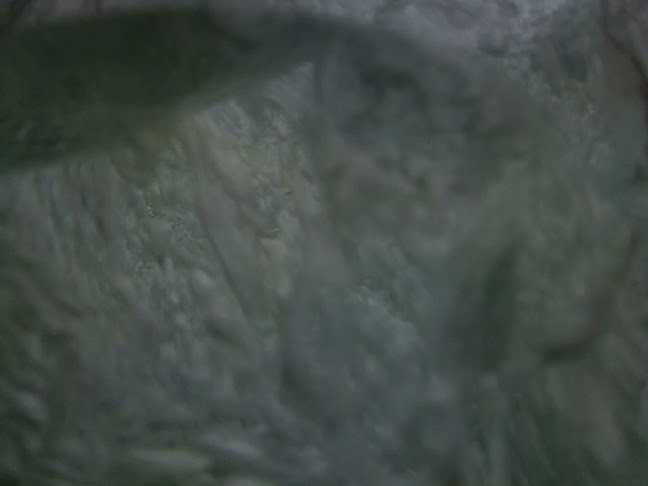 Comentarii opinii despre Skala Potamias BeachThassos