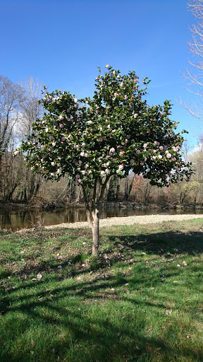Parque Braña de Tintores - Thumbnail