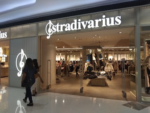 Stradivarius, Author: untung sj