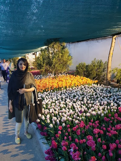 Photos of Zarafshan Flowers
