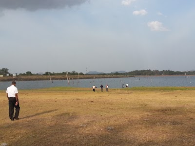 Photos of Pimburattewa Mahaweli Circuit