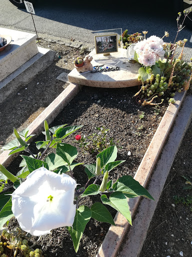 Cimitero di Sterpeto - Thumbnail
