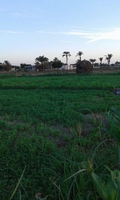 Photos of مصرف الوحدة