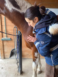 Photo n°17 de Laura Msika ostéopathe animalier OISE à Coye-la-Forêt (Ostéopathe)