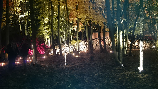 Hexenwald - Visual