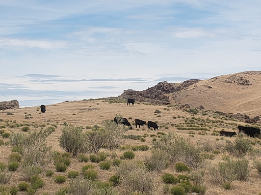 Jump Creek Recreation Area, Idaho - Thumbnail