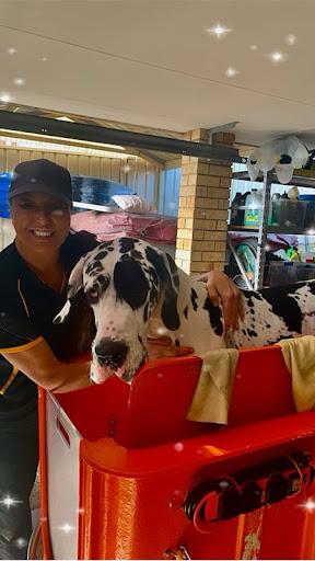 Petbarn Mobile Dog Wash Marangaroo - Thumbnail