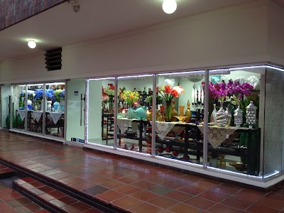Photos of PUYANA Ltda
