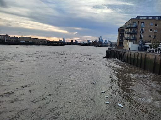 Westferry - Visual
