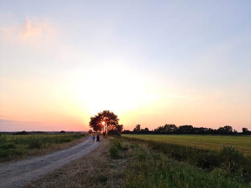 Hammestrand - Thumbnail