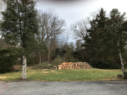 Pisgah Tree Service Gallery - United States