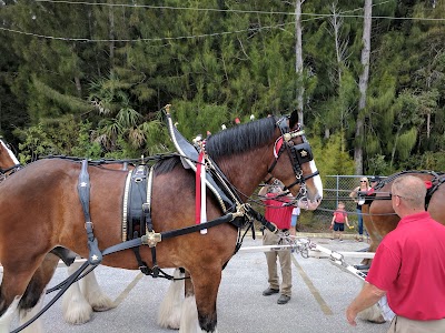 Photos of German American Social Club of Cape Coral