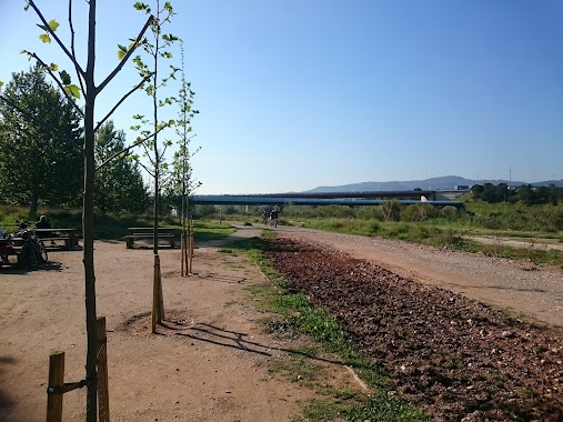 Picnic castellbisball rio Llobregat, Author: Manuel Plaza Rivero