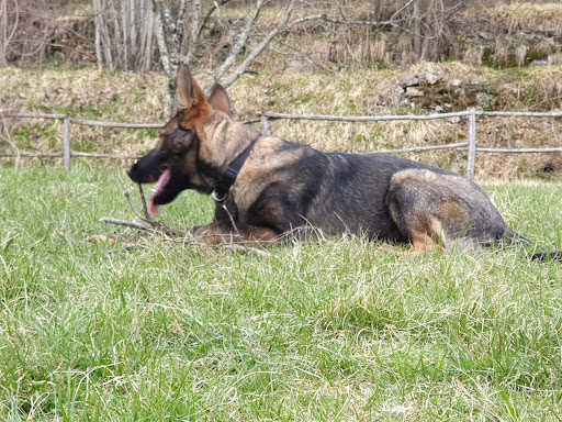Uomini e Cani Torriglia