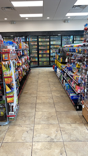 Shell AM/PM - Visual