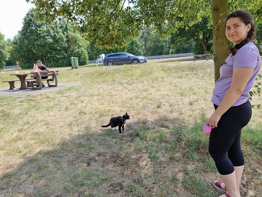 Parkplatz Nachtweide