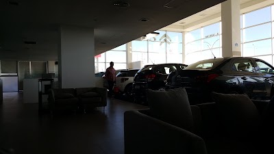 Photos of Naum Citro&euml;n