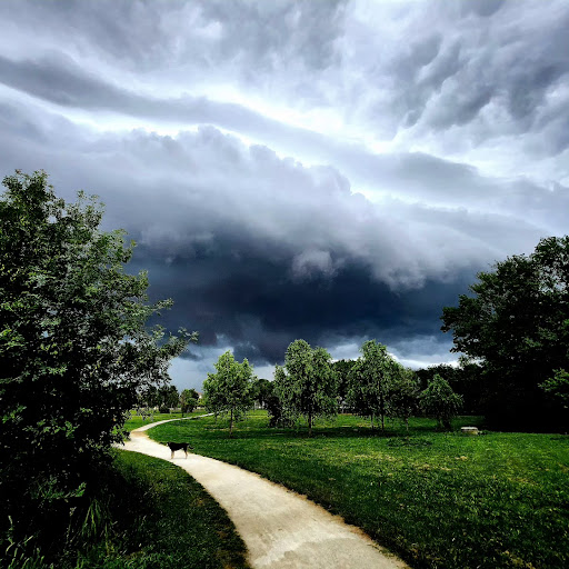 Parc de Plaisance du Touch - Thumbnail
