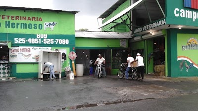 veterinary-care