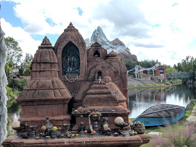 Disney's Animal Kingdom Theme Park