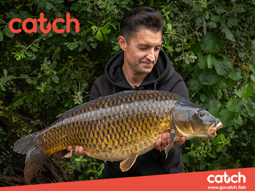 GoCatchFish - Visual
