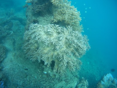 Photos of pulau tidung