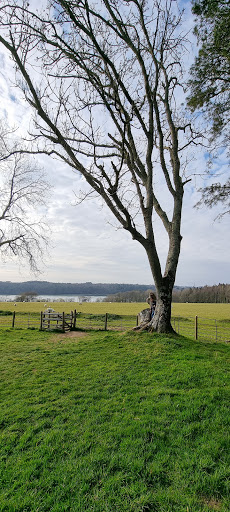 Glan Faenol