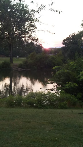 Flat Rock Riverfest - Thumbnail
