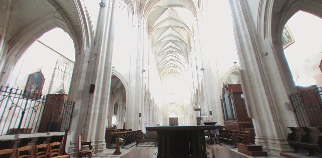 Avis sur Basilique royale Notre-Dame-de-Cléry à Orléans - Église