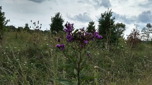 Diver's Cove - Visual