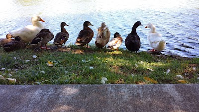 Stanton Lake Campground