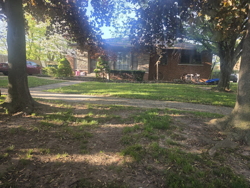 post-image-1