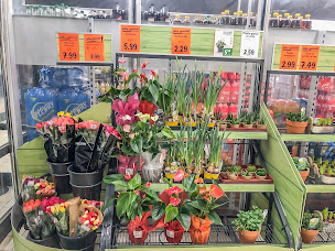 Photo n°12 de Lidl à Vauréal (Supermarché)