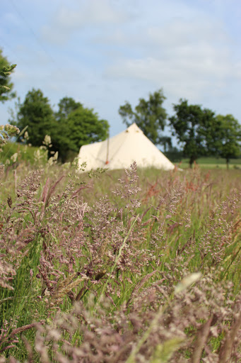 Firs Glamping Gallery - United Kingdom