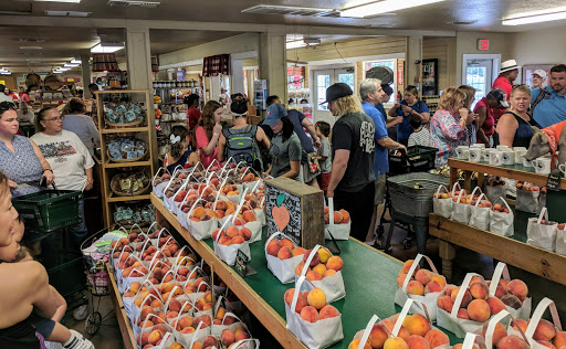 Ham Orchards - Visual