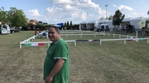Mostra Agricola Artigianale del Trasimeno - Thumbnail