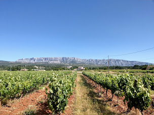 Photo n°2 de Le Vin A la Bouche à Mornas (Vignoble)