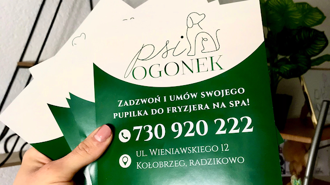 psiOGONEK Psi fryzjer Kołobrzeg