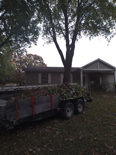 Southern Tree Service
