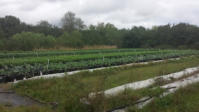Photos of Sunsport Gardens