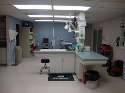 Photos of Line Street Veterinary Hospital