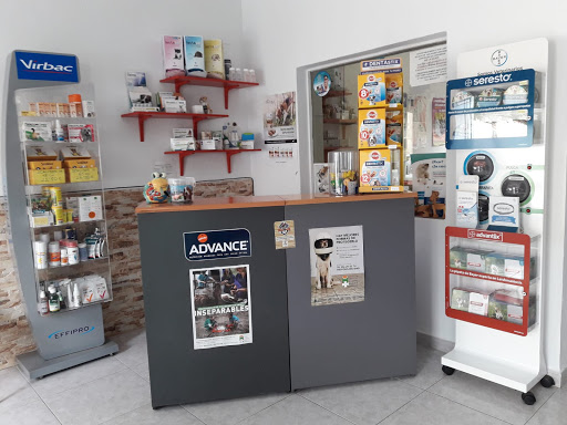 Consulta Veterinaria El Carpio