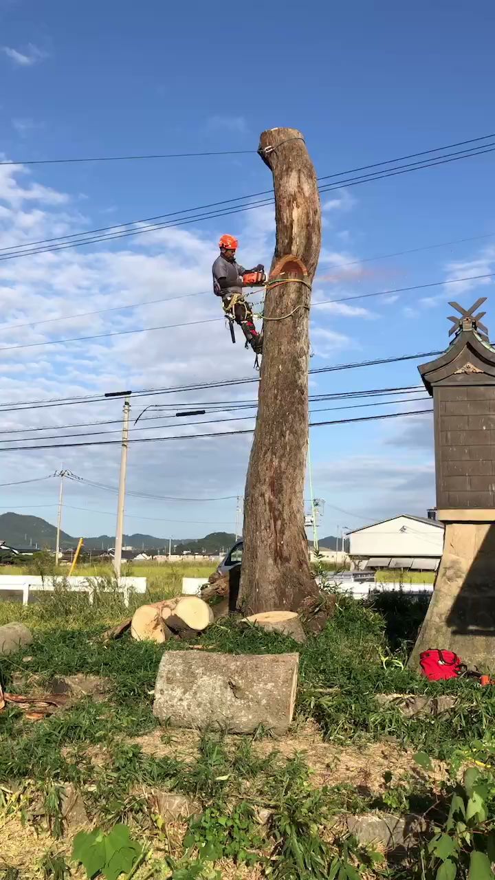 株式会社ツリーワークプロ