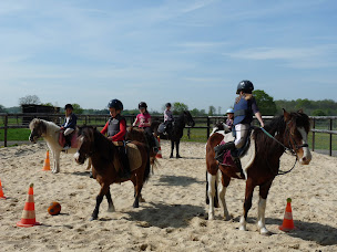 Photo n°12 de HARAS DES Ô à St Etienne ss Bailleul (Centre équestre)