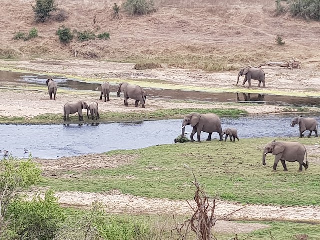 Kruger National Park