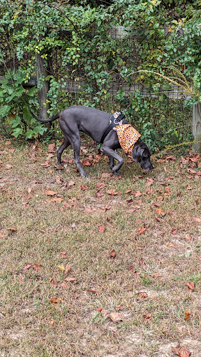 Phil White Dog Park - Thumbnail