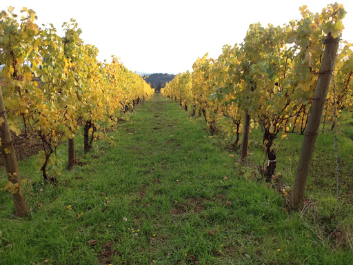 WineDirt.com
